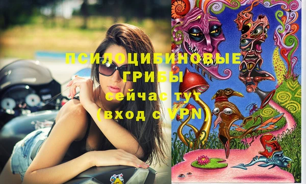 тгк Абдулино