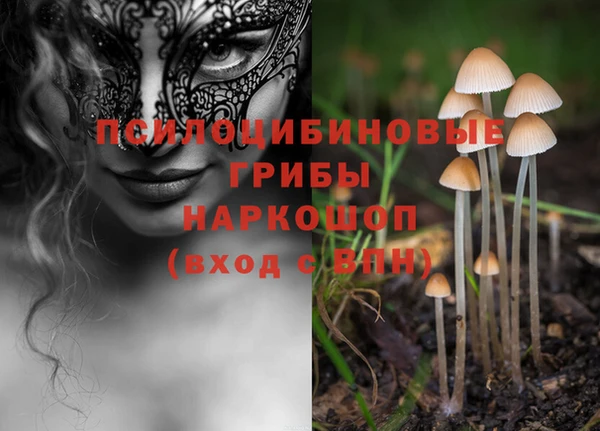 СК Абинск