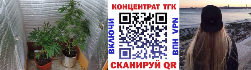 как найти закладки Шиханы гидра ссылка Дистиллят ТГК Wax