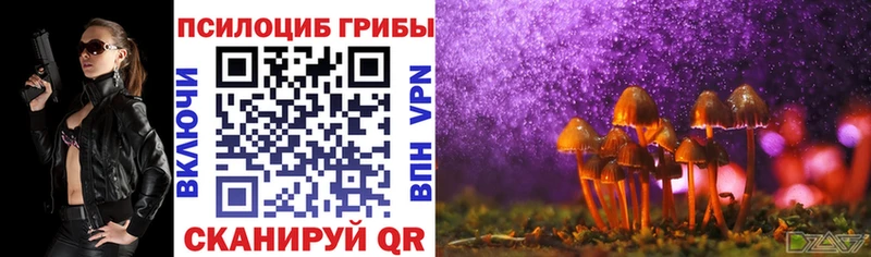 Псилоцибиновые грибы Cubensis  Шиханы 