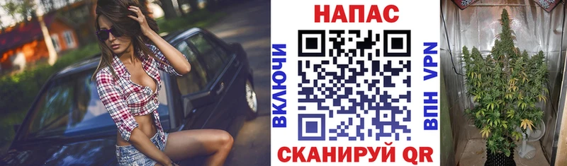 Бошки марихуана OG Kush Шиханы